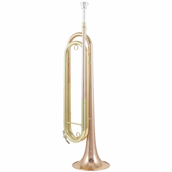 Das Blasinstrument Fanfare als bekanntestes Signalinstrument günstig kaufen.