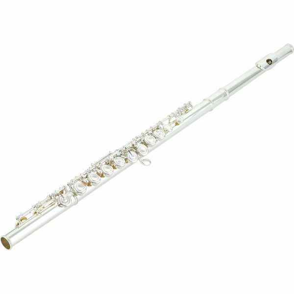 Das Blasinstrument Querflöte für Jazz und Rock günstig kaufen.