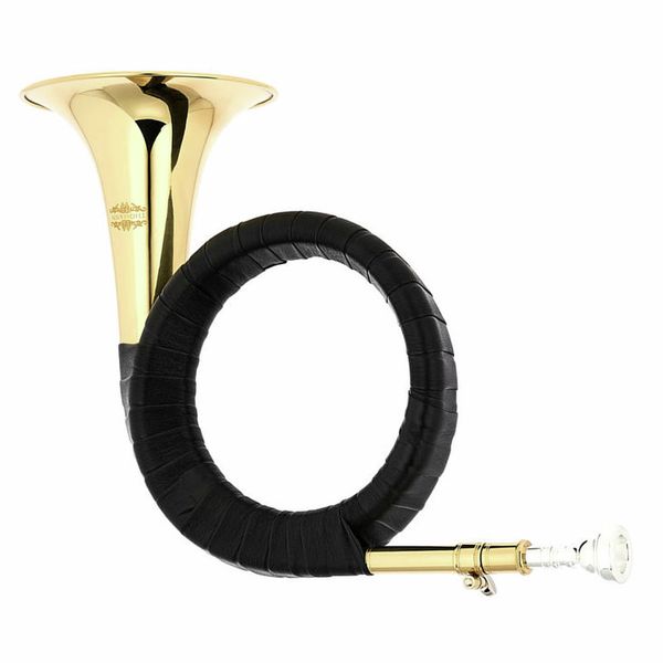 Das Blasinstrument Horn günstig kaufen